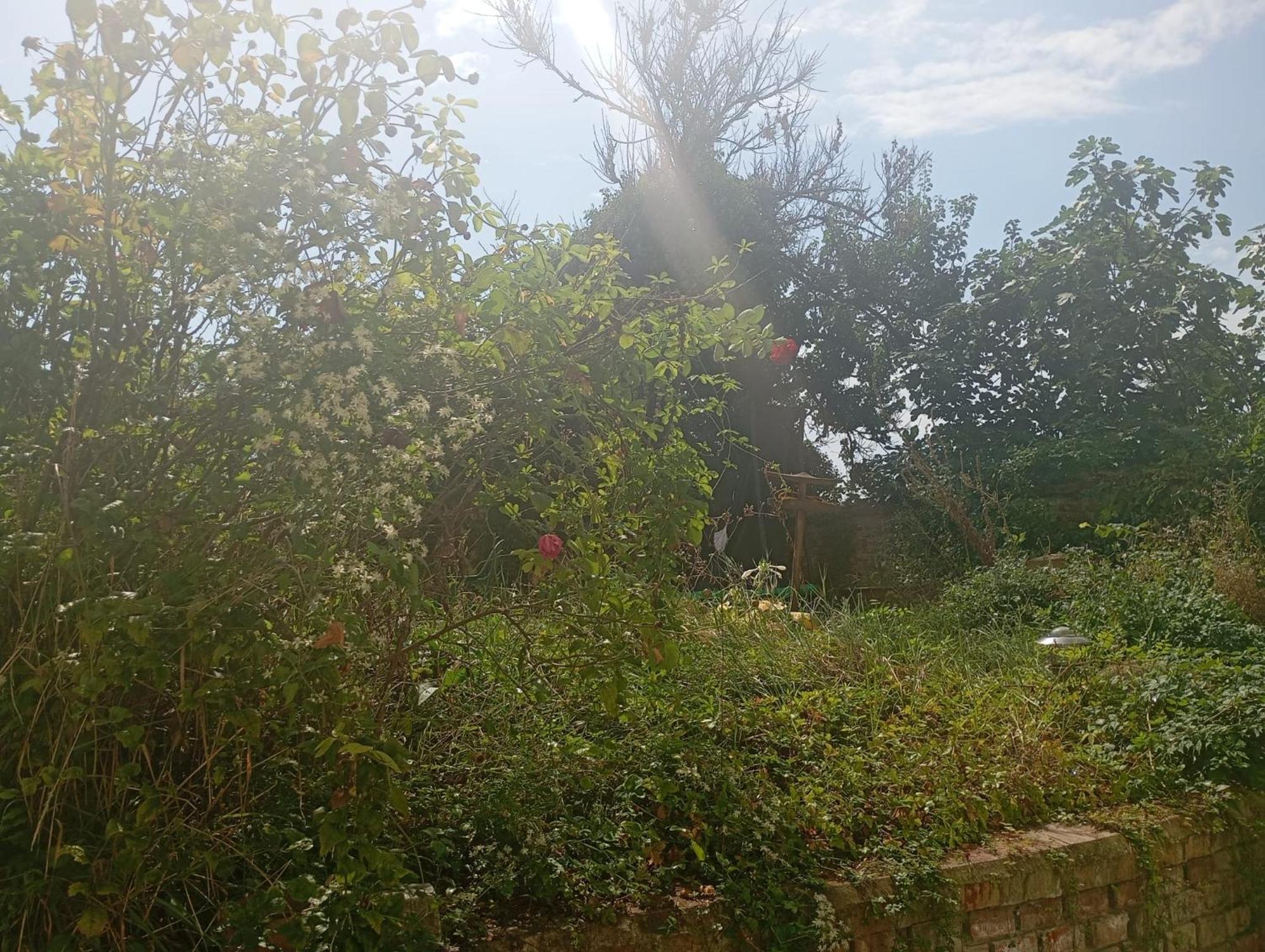 Byt S Terasou A Zahradou Brünn Exterior foto